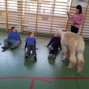 Alpaki Terapeuciaki, Majka i Mucha