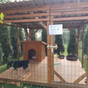 Mamy dwa kojce i budki dla kotów wolno żyjących! Sfinansowane dzięki dotacji z NIW - CRSO, PROO 2018 - 2030 www.niw.gov.pl