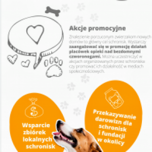 Zoodoptuj.pl w BSOZ Zwierzoluby - akcja #ZoodoptujMobilizuje dotarła do Barwic