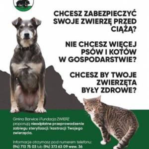 Gmina Barwice w projekcie ZWIERZowa AkcjaKastracja!